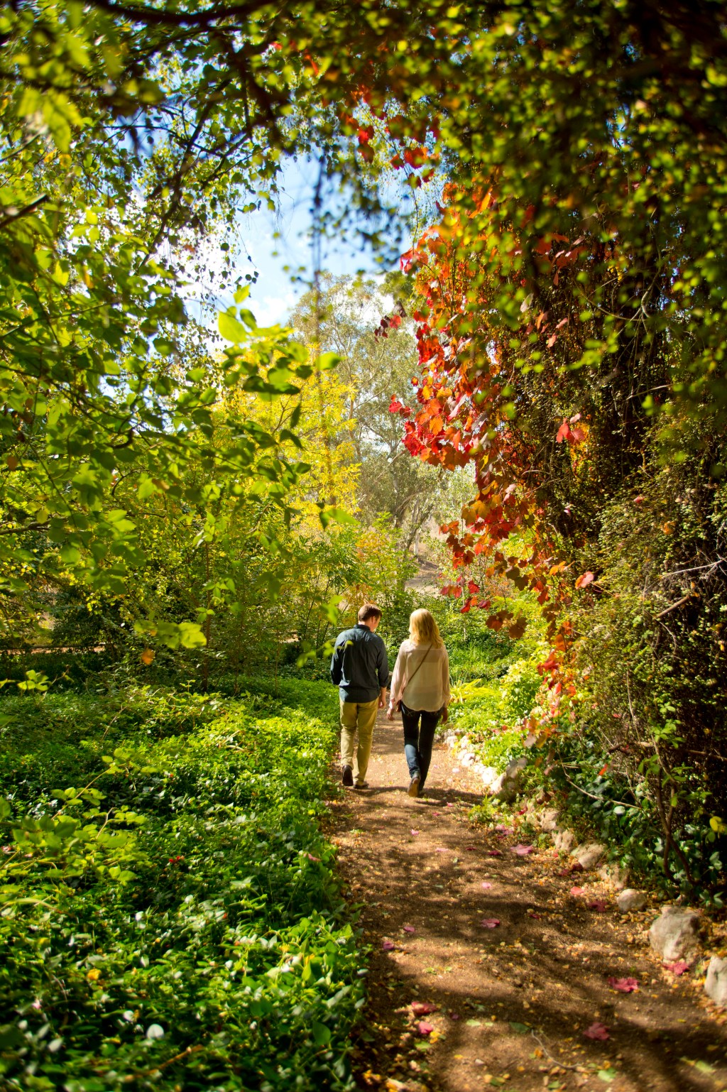 5 Ways to Unwind at Wellness&nbsp;Wander