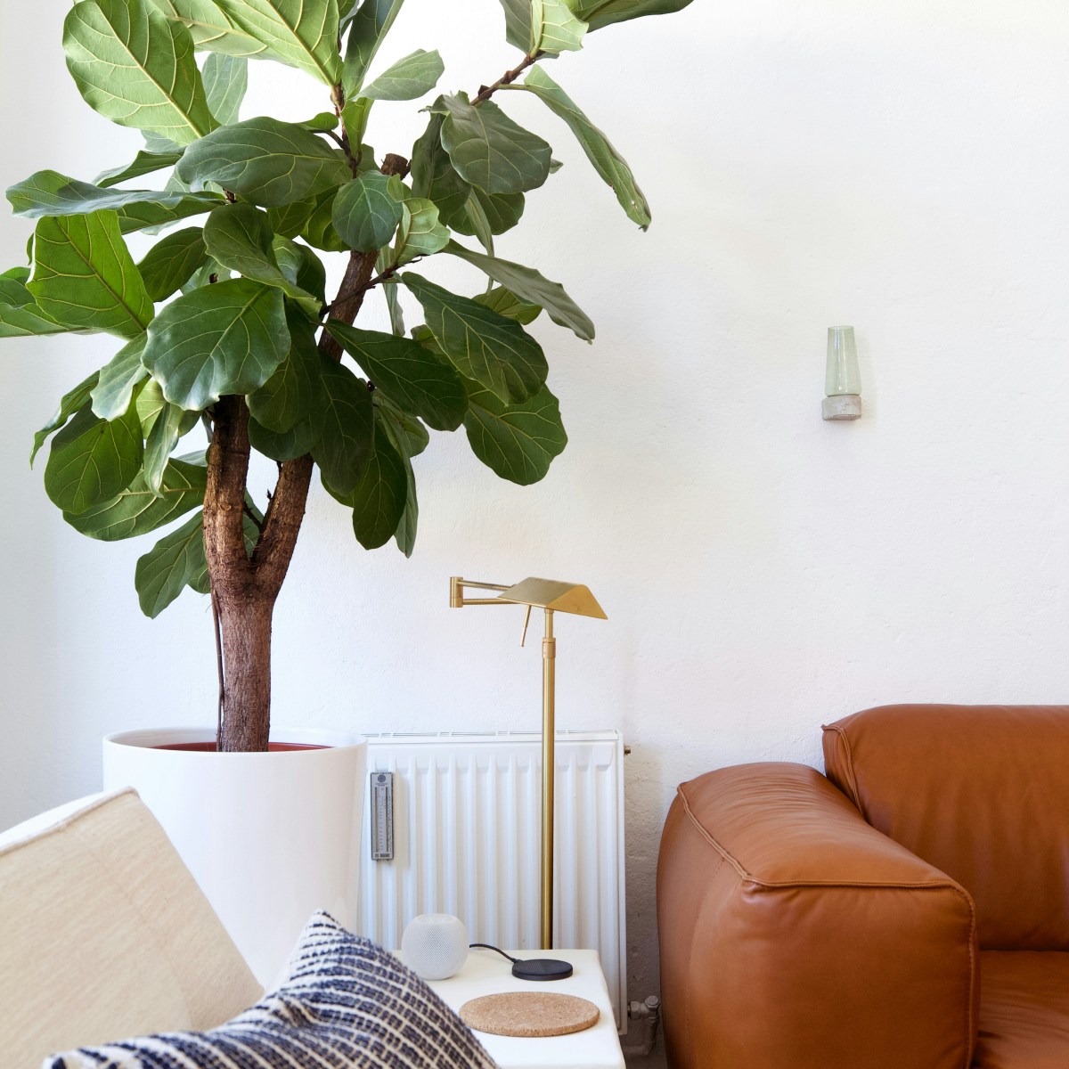How to: Use Plants To Brighten&nbsp;Spaces