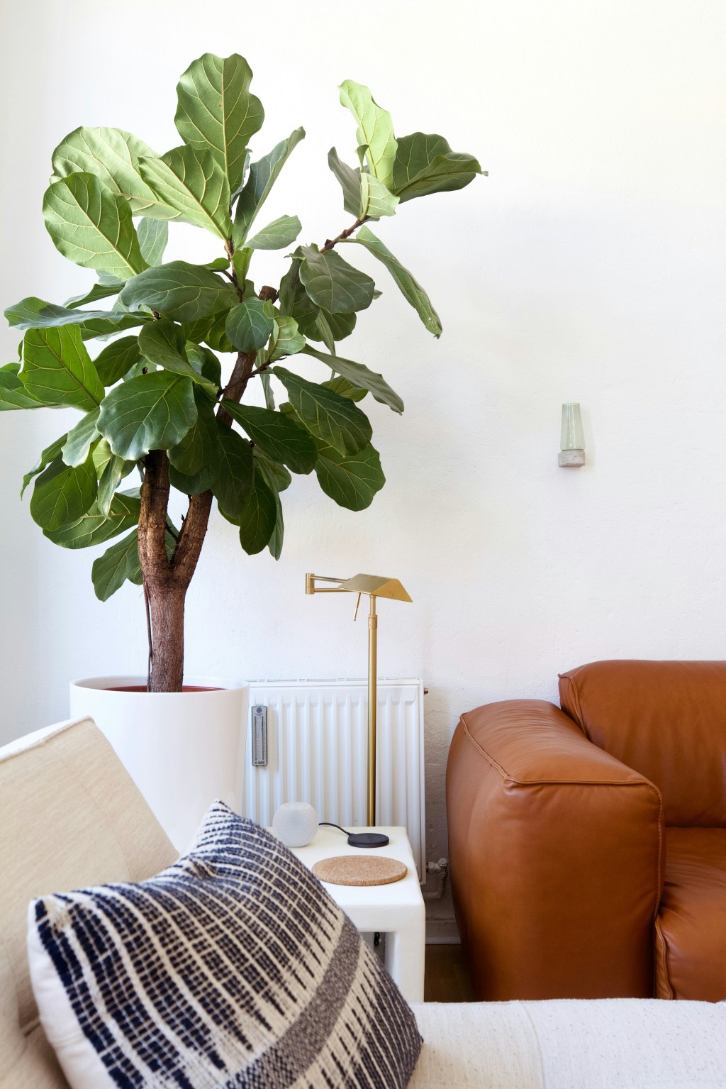How to: Use Plants To Brighten&nbsp;Spaces