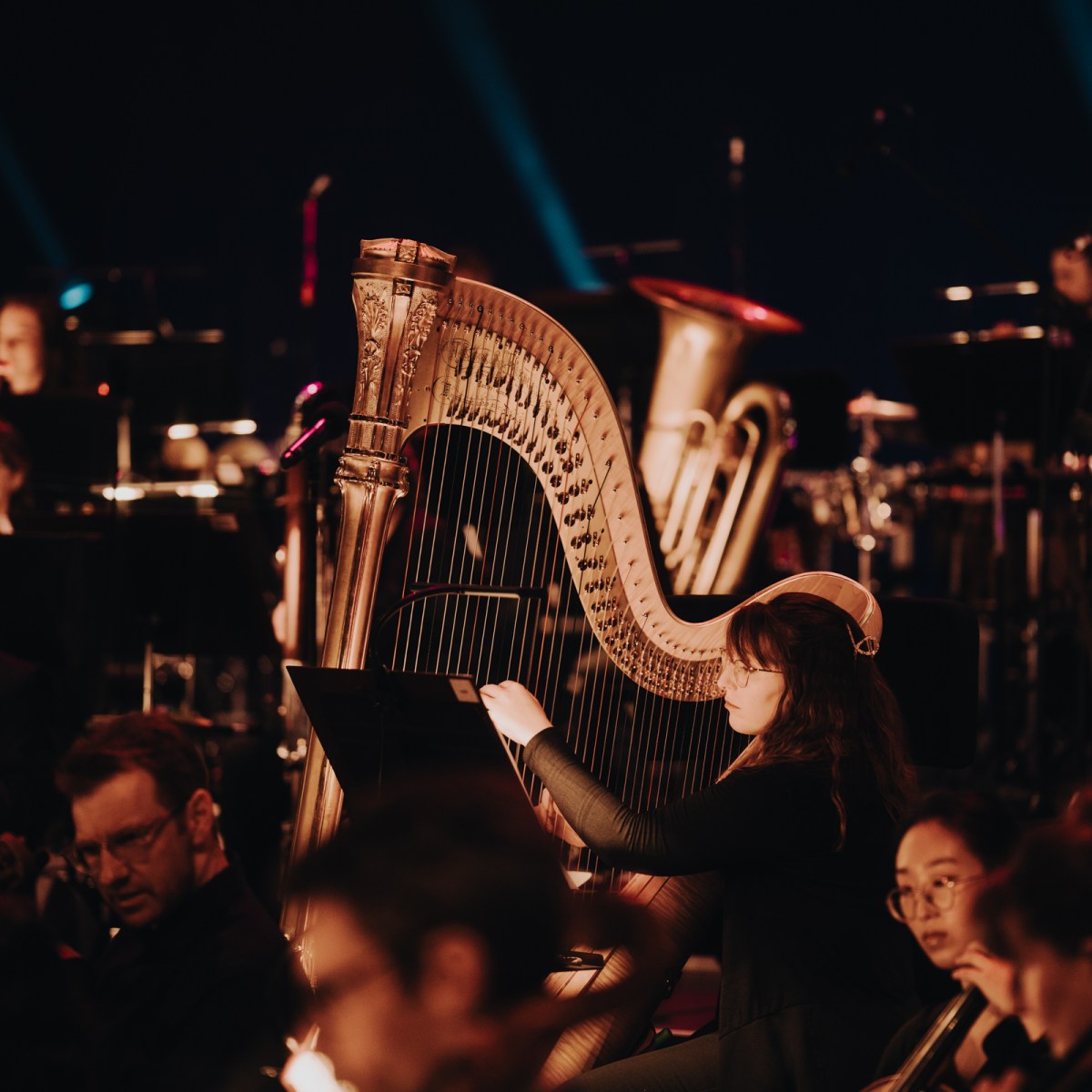 A Symphonic Night&nbsp;Out